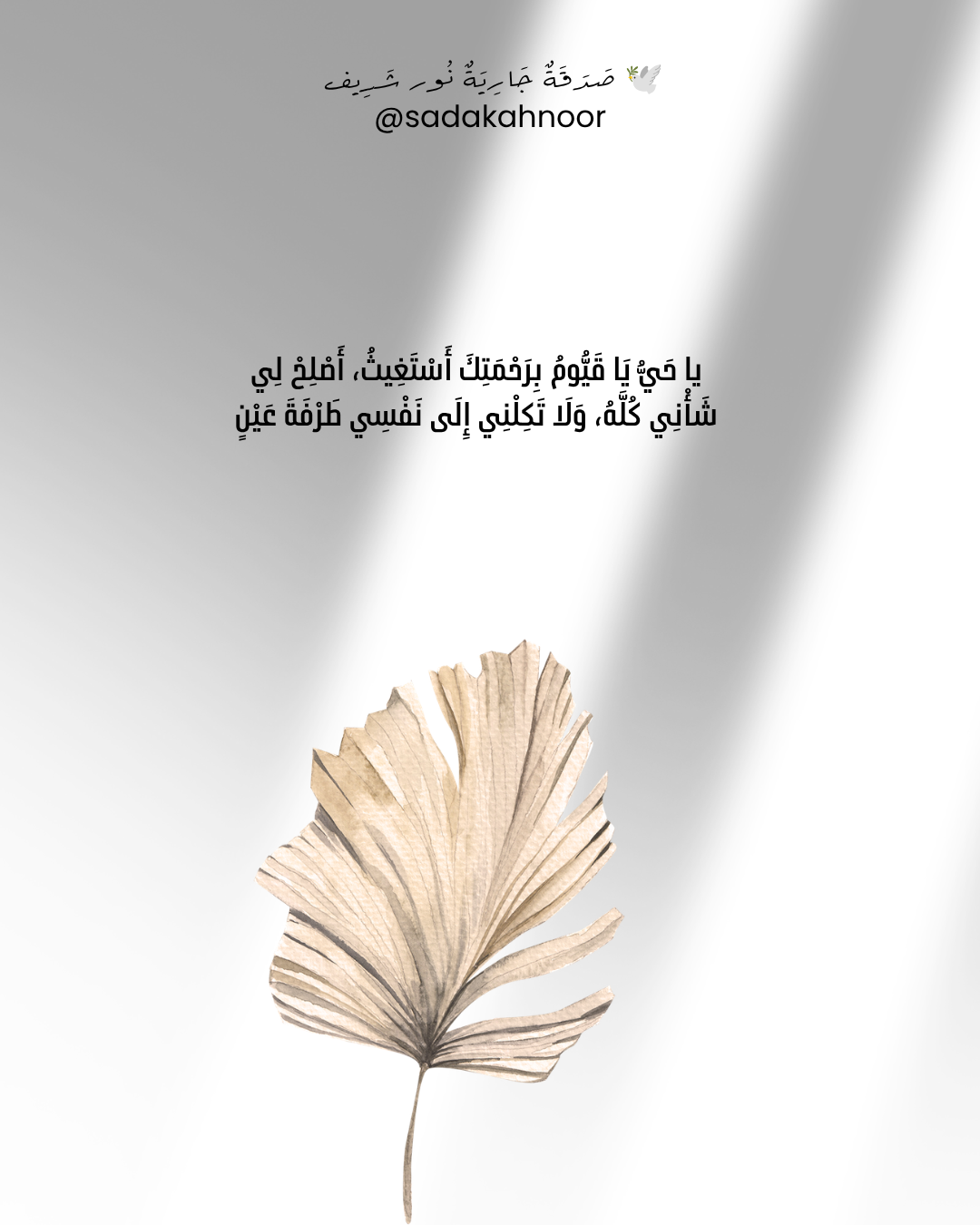 دعاء الكرب وصلاح الشأن: يا حي يا قيوم • يَا حَيُّ يَا قَيُّومُ بِرَحْمَتِكَ أَسْتَغِيثُ أَصْلِحْ لِي شَأْنِي كُلَّهُ وَلَا تَكِلْنِي إِلَىٰ نَفْسِي • دعاء لروح نور شريف طرباي • المنصورة