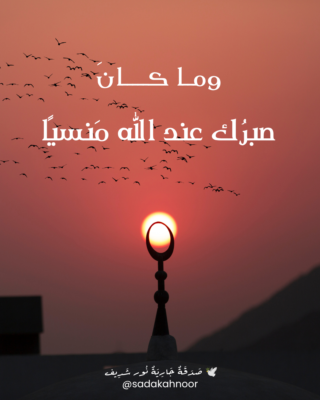 بشارة الصابرين: وما كان ربك نسياً • إِنَّمَا يُوَفَّى الصَّابِرُونَ أَجْرَهُم بِغَيْرِ حِسَابٍ • صَبْرٌ جَمِيلٌ وَاللَّهُ الْمُسْتَعَانُ • دعاء لروح نور شريف طرباي • المنصورة