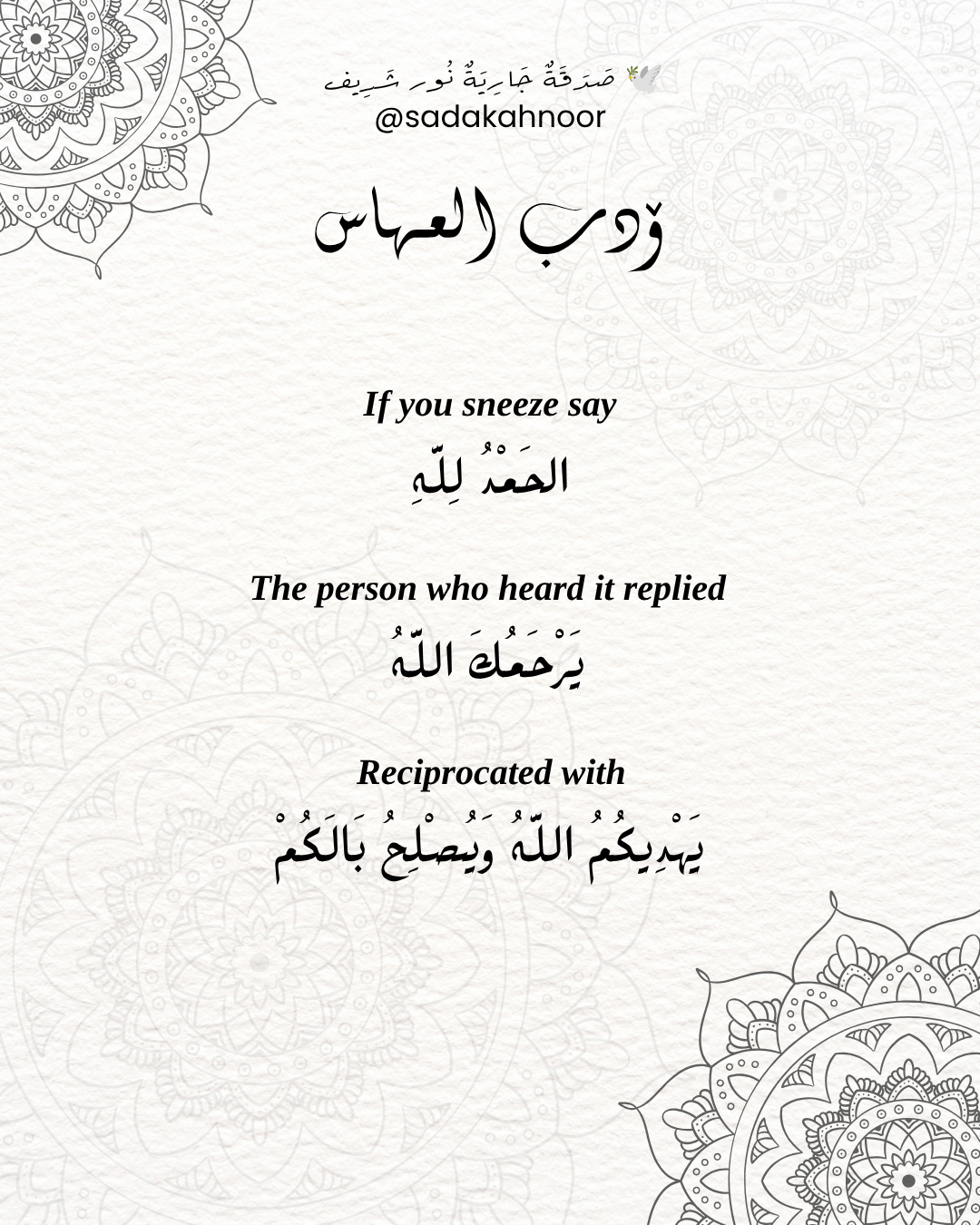 أدب العطاس في السنة النبوية المطهرة • الْحَمْدُ لِلَّهِ عَلَى كُلِّ حَالٍ • يَرْحَمُكُمُ اللَّهُ وَيُصْلِحُ بَالَكُمْ • دعاء لروح نور شريف طرباي • المنصورة