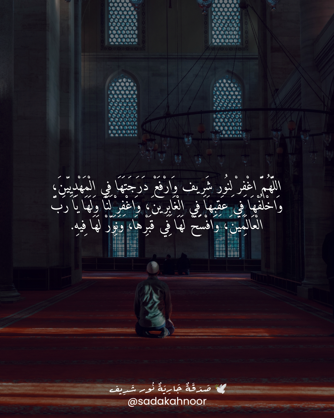 مصلى رمضان وسكينة التراويح • اللَّهُمَّ تَقَبَّلْ صِيَامَنَا وَقِيَامَنَا وَاجْعَلْ ثَوَابَهُ رَحْمَةً وَنُوراً فِي قَبْرِ نُور شَرِيف • دعاء لروح نور شريف طرباي • المنصورة